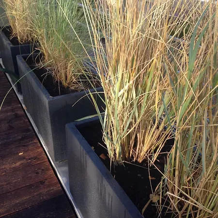 Dom wakacyjny Haus Berta Exklusives Architektenhaus Fehmarn, Strandnah Fehmarn